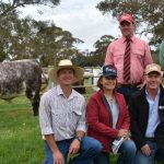 New Angus research breeding values focus on shear force, MSA marbling