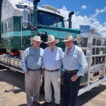 Shirlee Downs Stud Dominates Poll Dorset Show at Wagin Woolorama | Farm Weekly