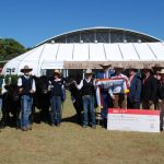 Pasture dieback field day insights | Queensland Country Life