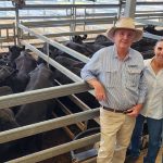 Farmer frustrated with stable fly stance