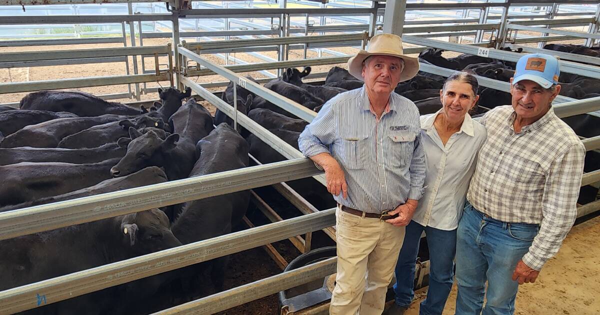 Weaner steers up to $40 a head dearer at Tamworth