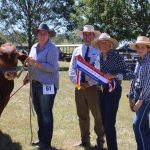 Boston Leather wins PBR event title | North Queensland Register