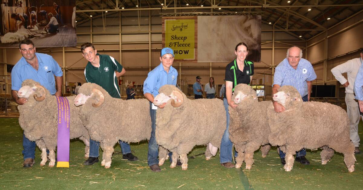 Debut Stonehaven Cup win to Greenland Merino stud, Bungarby