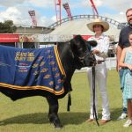 Joint winners on opening night of the 2024 Sydney Royal WC Campdraft