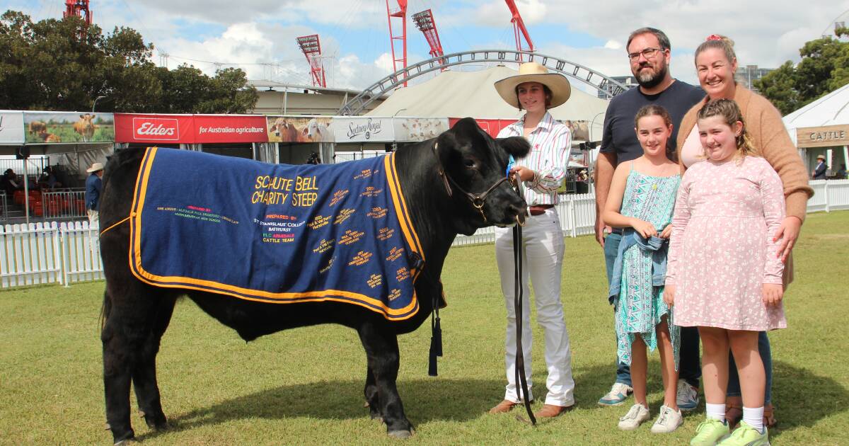 Charity steer raises vital funds for Victor Chang Cardiac Research Institute