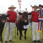 Joint winners on opening night of the 2024 Sydney Royal WC Campdraft