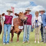 Eskbank take ram and ewe Corriedale grand championships