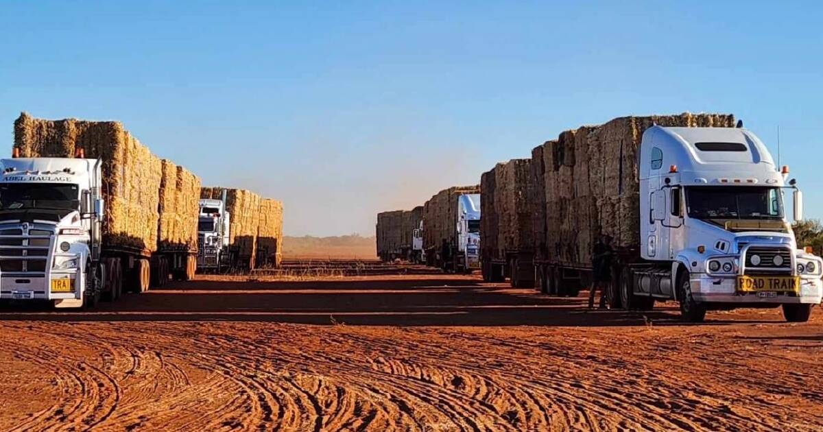 Hay convoy delivers much-needed fodder