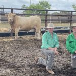 Alfoxton wins 2024 Tom Culley supreme junior Merino at Sydney Royal | The Land