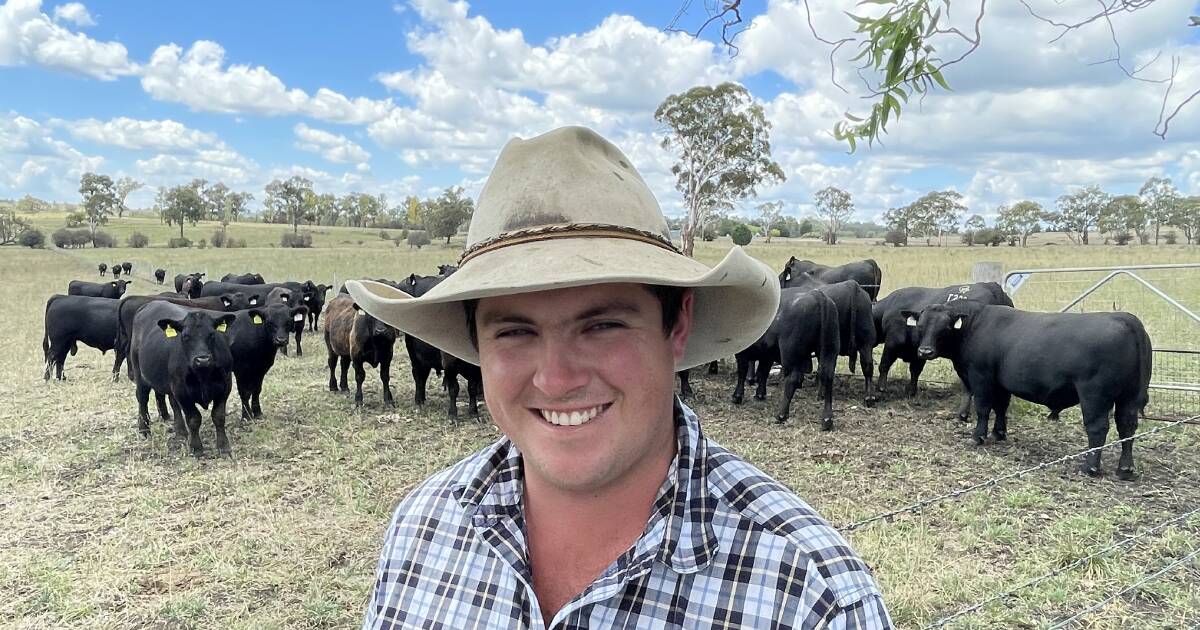 New beginnings for Glenmorgan Angus stud in the hands of Liston Pastoral | The Land