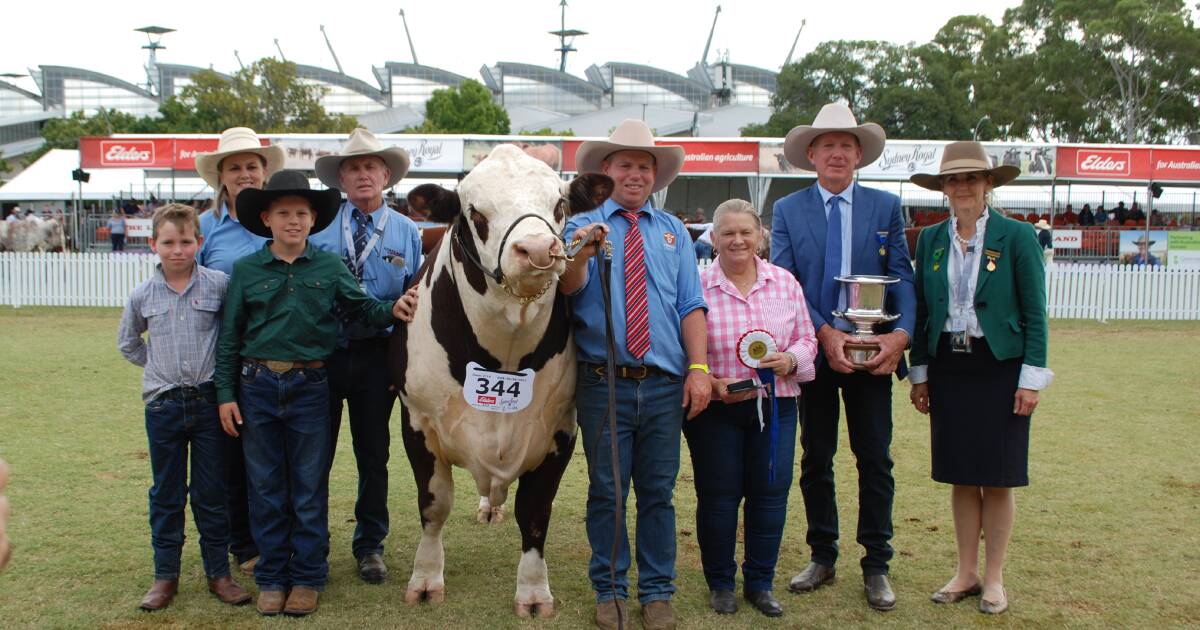 Tycolah takes best exhibit in the Herefords as new bloodline pays off