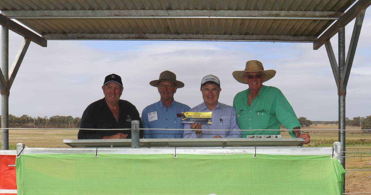 Tullibardine Angus sale peaks at $16,000