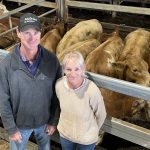 Territory Cattlemen’s Association announces Henry Burke as new president | The North West Star