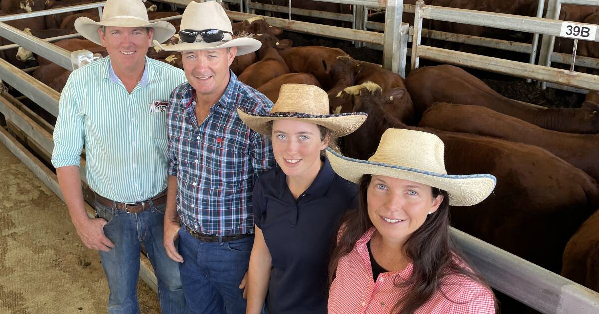 Smith family Santa/Hereford weaner heifers sell to record prices this selling season at Casino NRLX | The Land