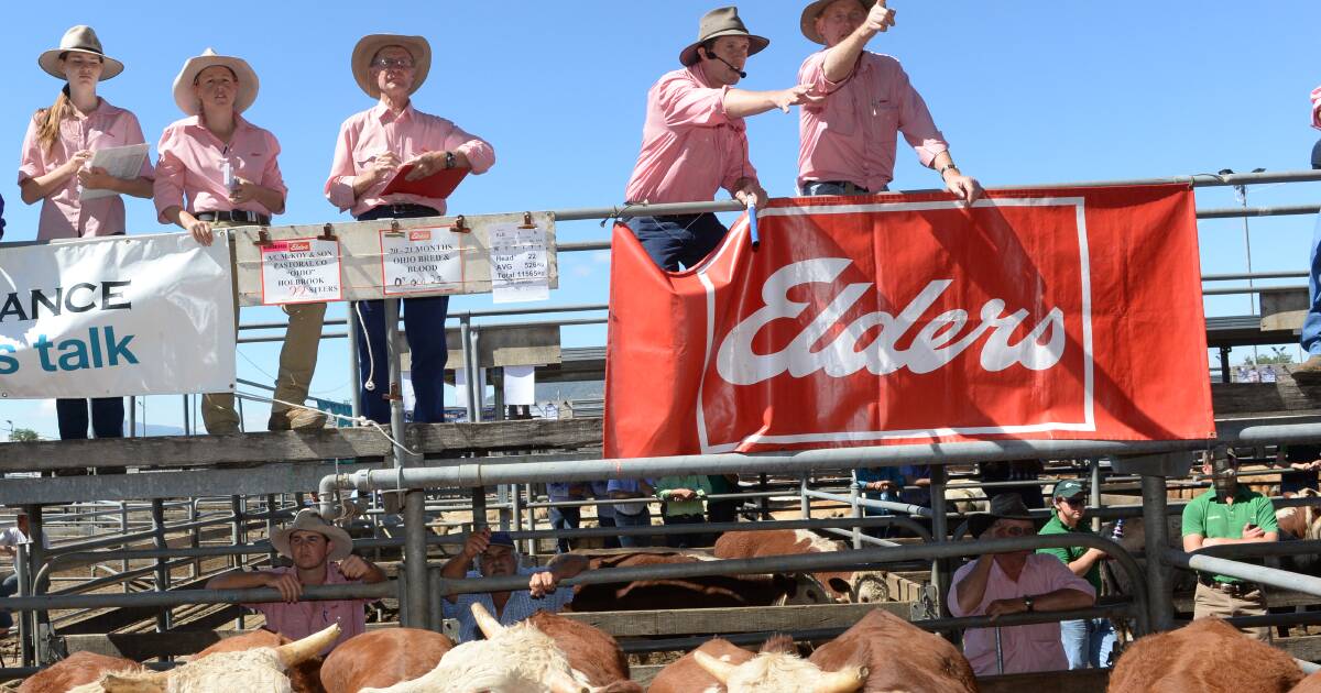 Elders tops Roy Morgan survey to find most trusted agribusinesses | Farm Weekly