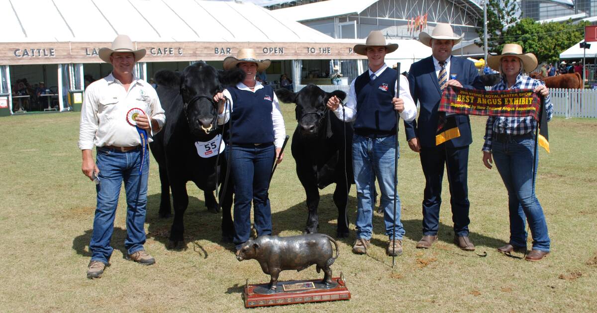 Flemington Angus the best exhibit, Tattykeel takes grand champion bull at Sydney Royal