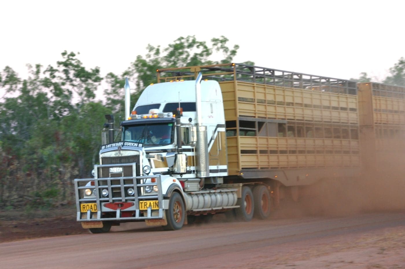 Can livestock transporters move away from fossil fuels?