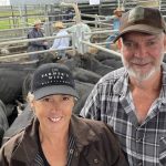 Live sheep ban saga sparks Labor government takedown plan