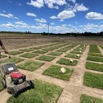 Lack of rain points to dry seeding start