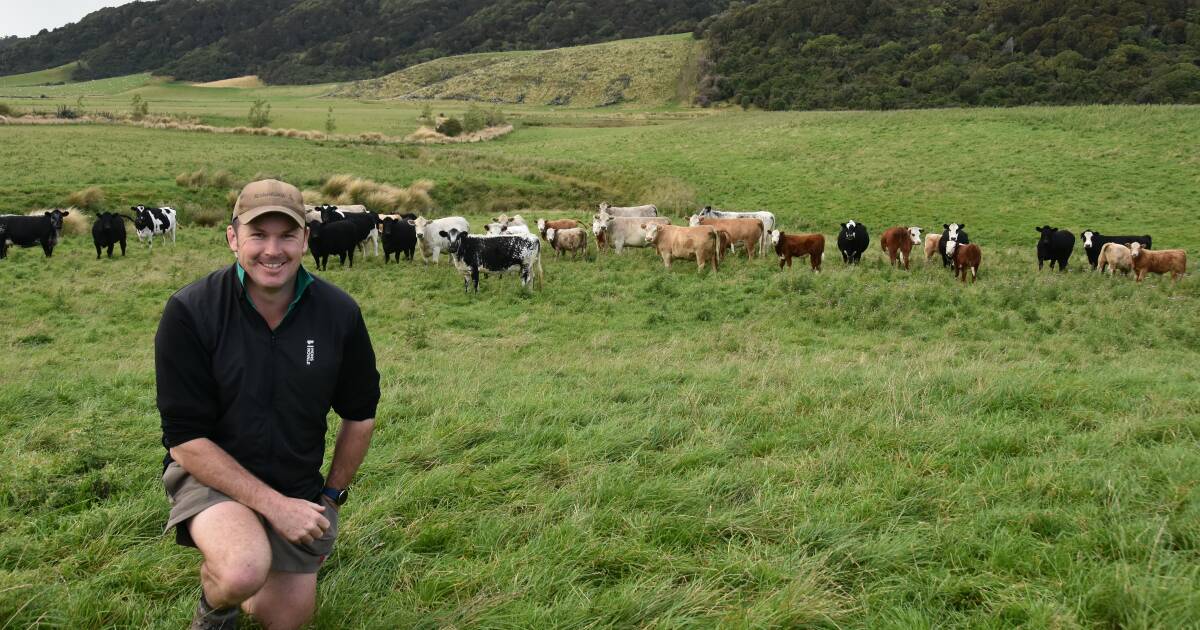 Methane tax a matter of when, not if, for all livestock producers, say Kiwis