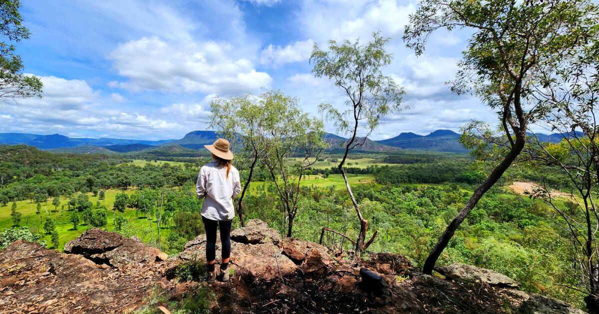 Nyanda Station's cattle thrive, tours to resume post fires and floods