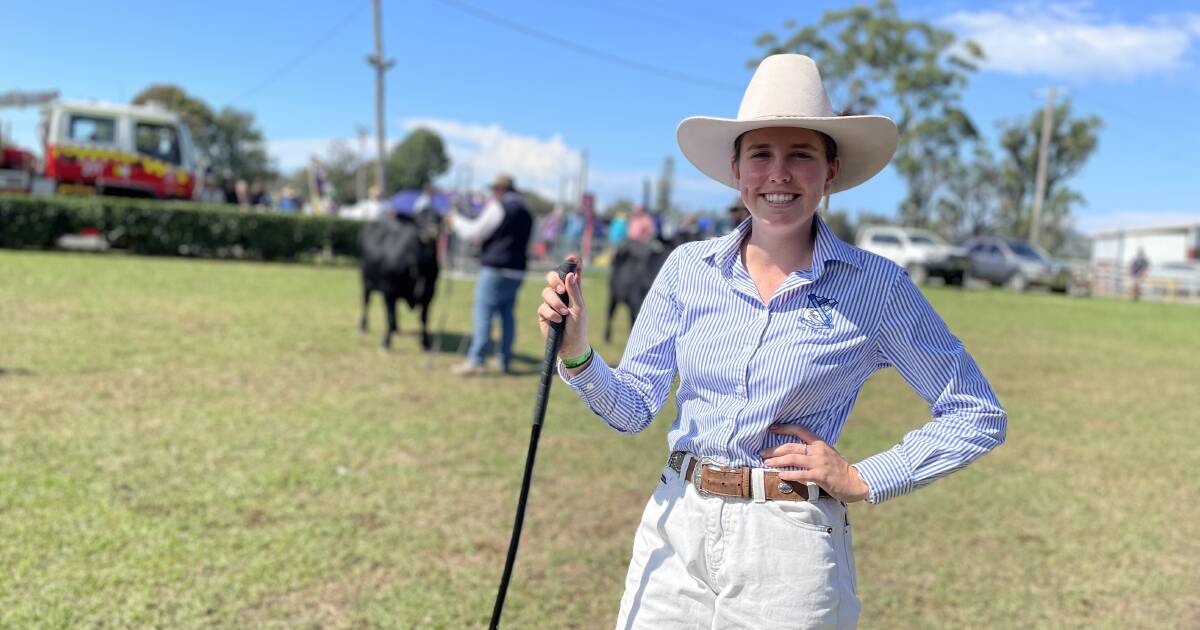 Macksville Show cattle paraders triumph