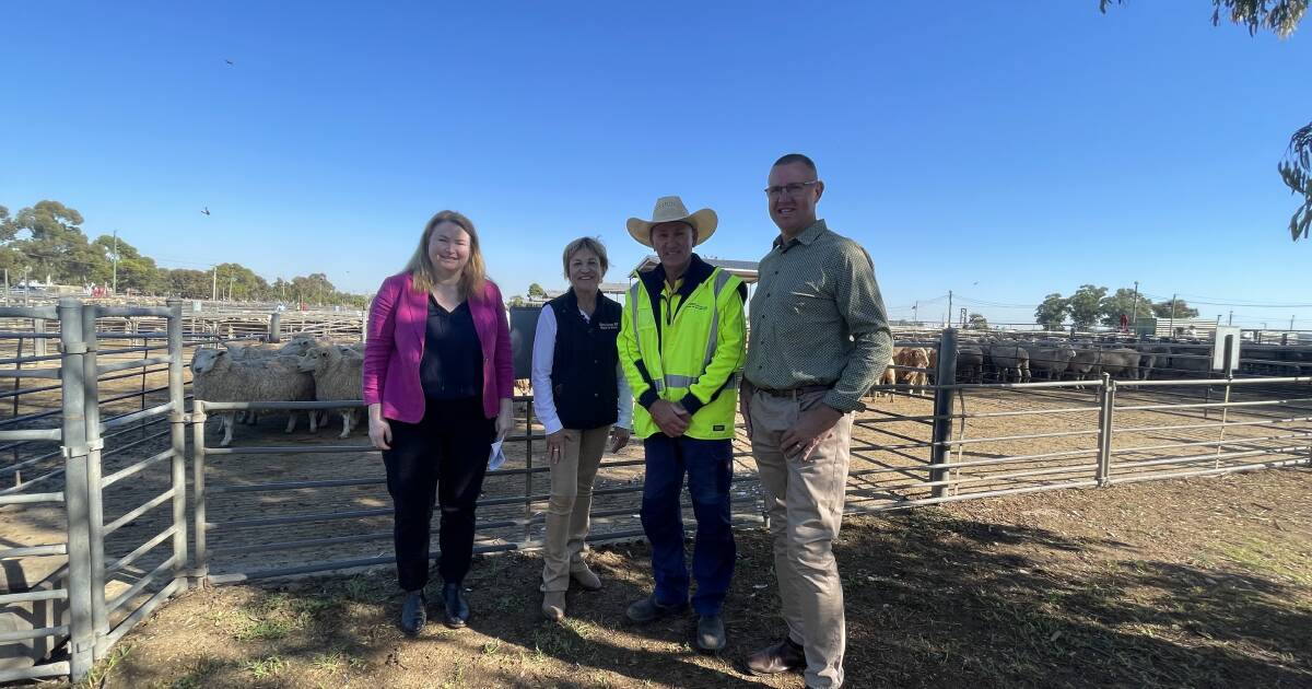 Future bright for Griffith saleyards as minister announces funding