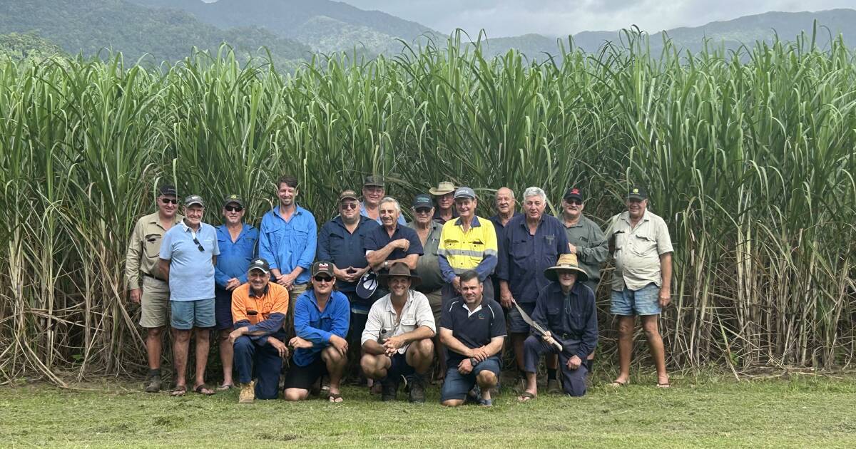 Mossman Mill in turmoil: Growers struggle | North Queensland Register