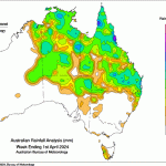 Feedgrain Focus: Rain firms northern market