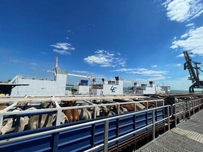 Botulism deaths hit live export, but could happen anywhere