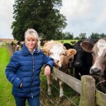 Buyers chase heavy, weaned steers at Moss Vale