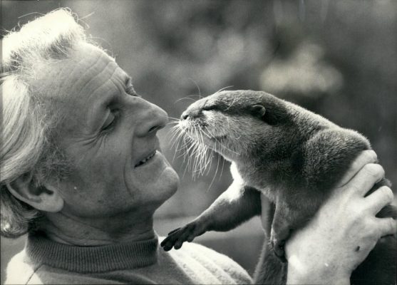 The Legacy: Philip Wayre, the man who saved the otter