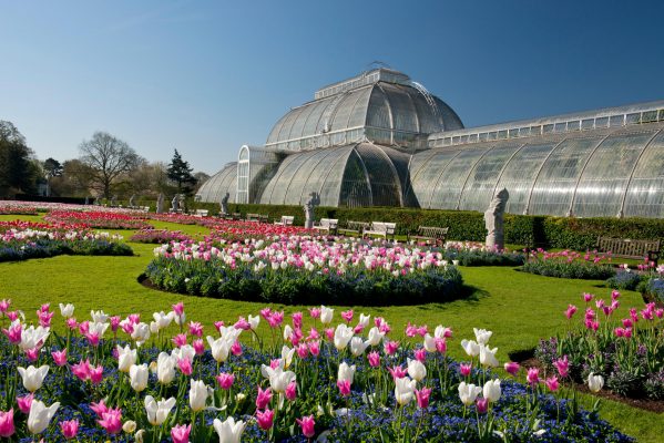 The Legacy: Sir Joseph Banks, the naturalist who created Kew