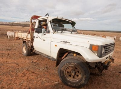 Farmers welcome revised New Vehicle Efficiency Standard, but remain alert on impacts