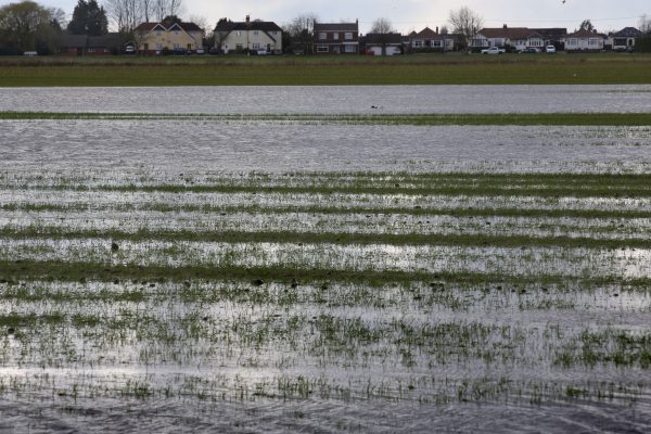 Farmers warn of looming food crisis after ‘wettest winter in 150 years’