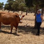 Carbon speakers to look out for at Beef 2024