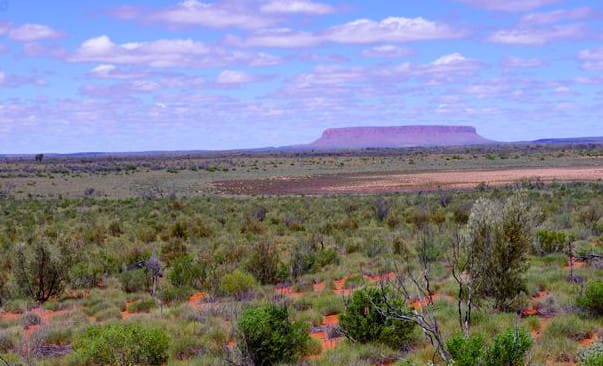 Carbon market criticism highlights tricky land clearing situation