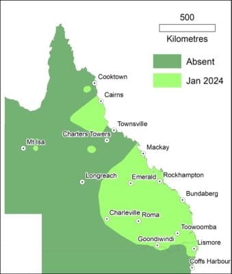 Pasture dieback spreading to new parts of Queensland