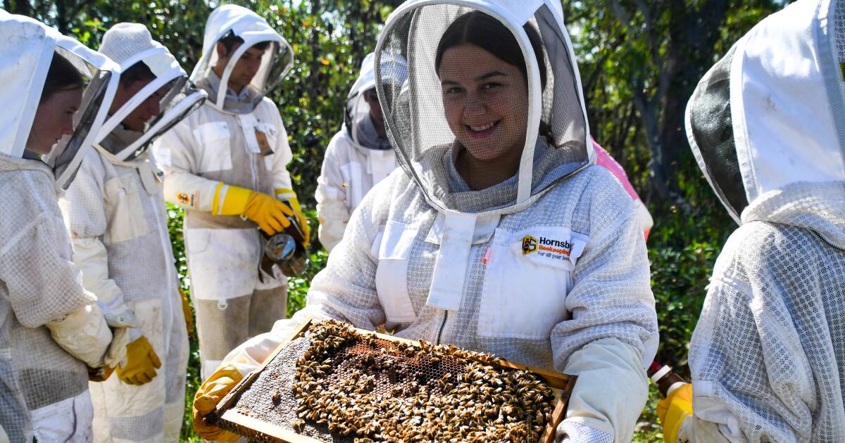 Passionate teacher creates buzz for agriculture in Sydney school