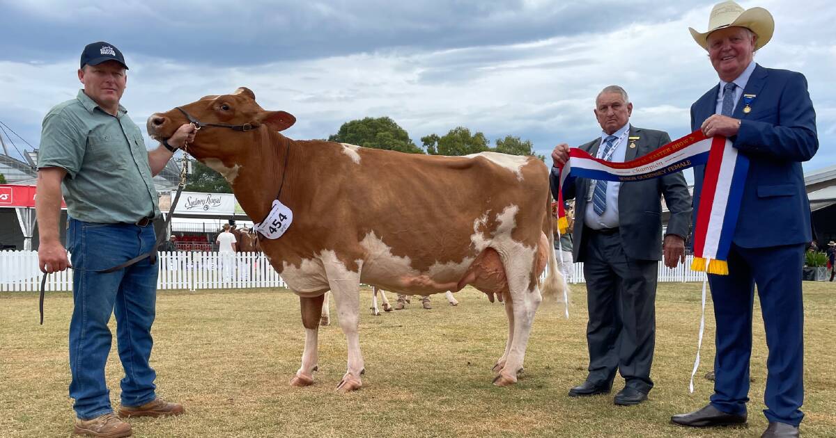 Late Guernsey entry takes out breed's top gong