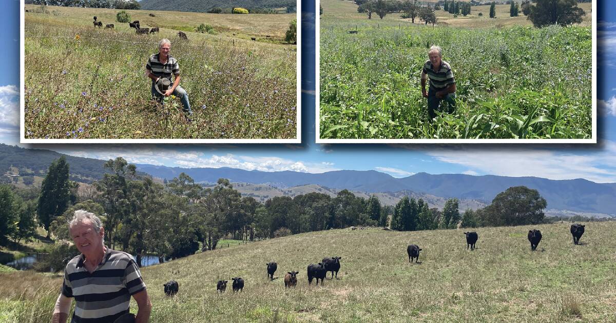 Carbon sequestration boosts soil health at Dederang