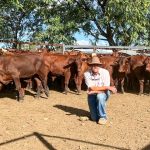 Market firm despite more than 6000 yarded at Yass