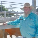 Bauhinia Carcass Classic open to more schools and more cattle breeds | Queensland Country Life