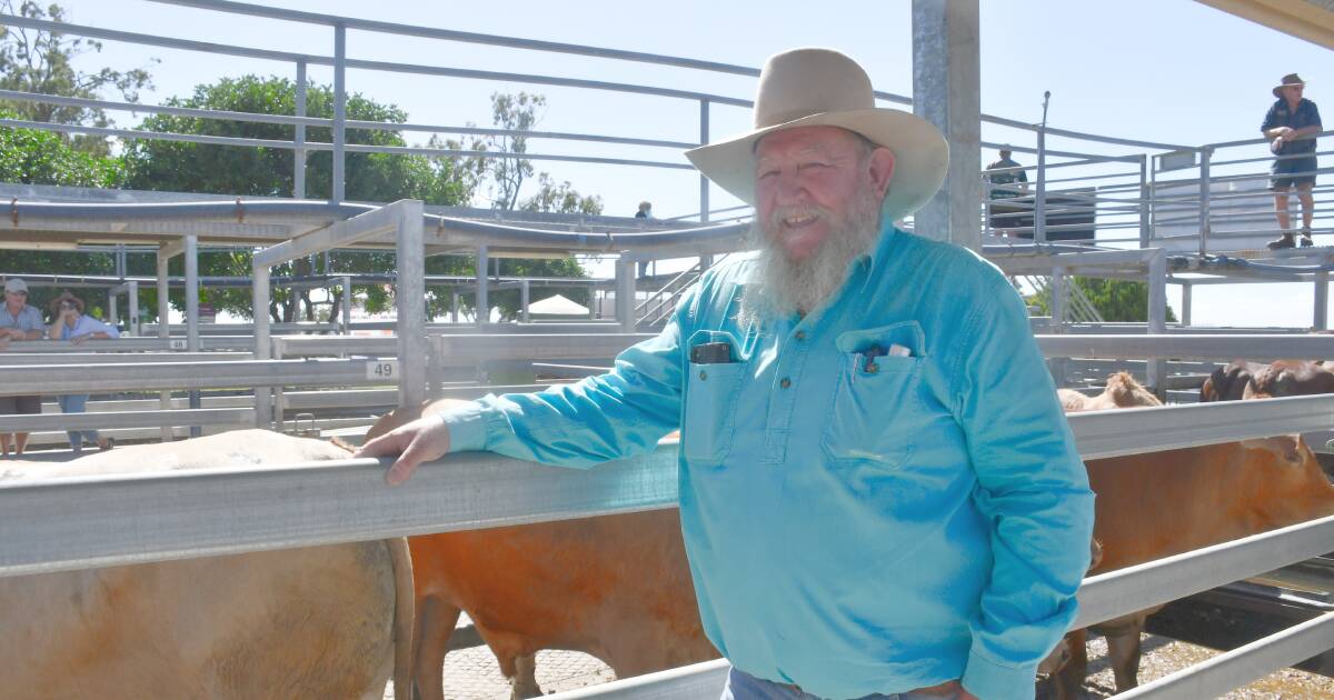 Gelhaar’s Charolais win Silverdale show grand champion | Queensland Country Life