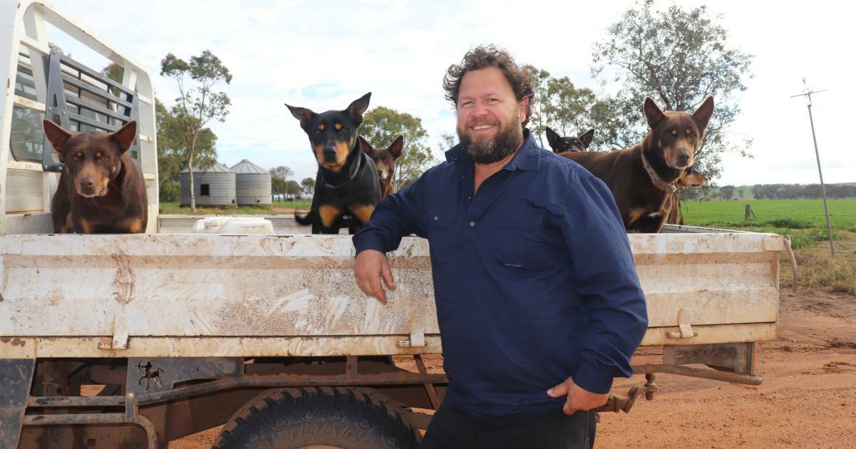 WA sheep farmers deserve much better