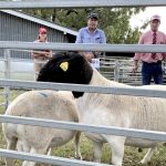 RLX acquires New South Wales saleyard in expansion