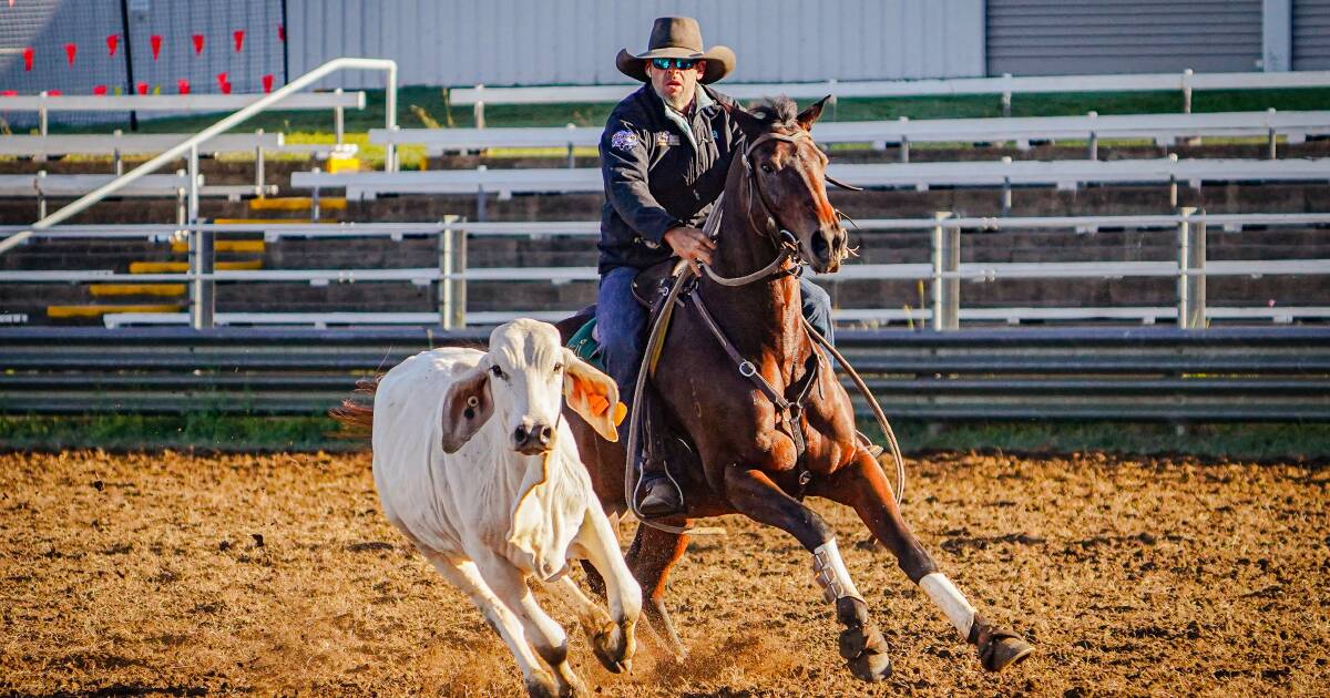 Beaudesert Show Society campdraft highlights | Queensland Country Life