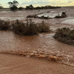 Beaudesert Show Society campdraft highlights | Queensland Country Life