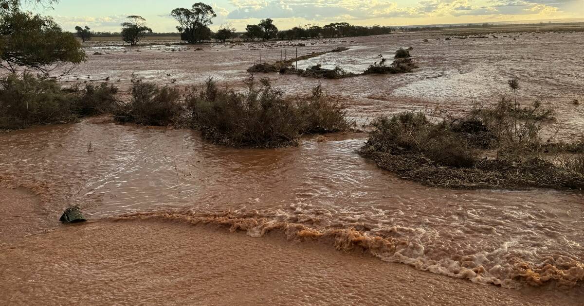 Weekend Rainfall Totals: Mid West, Goldfields & Southeast Coastal Regions | Farm Weekly