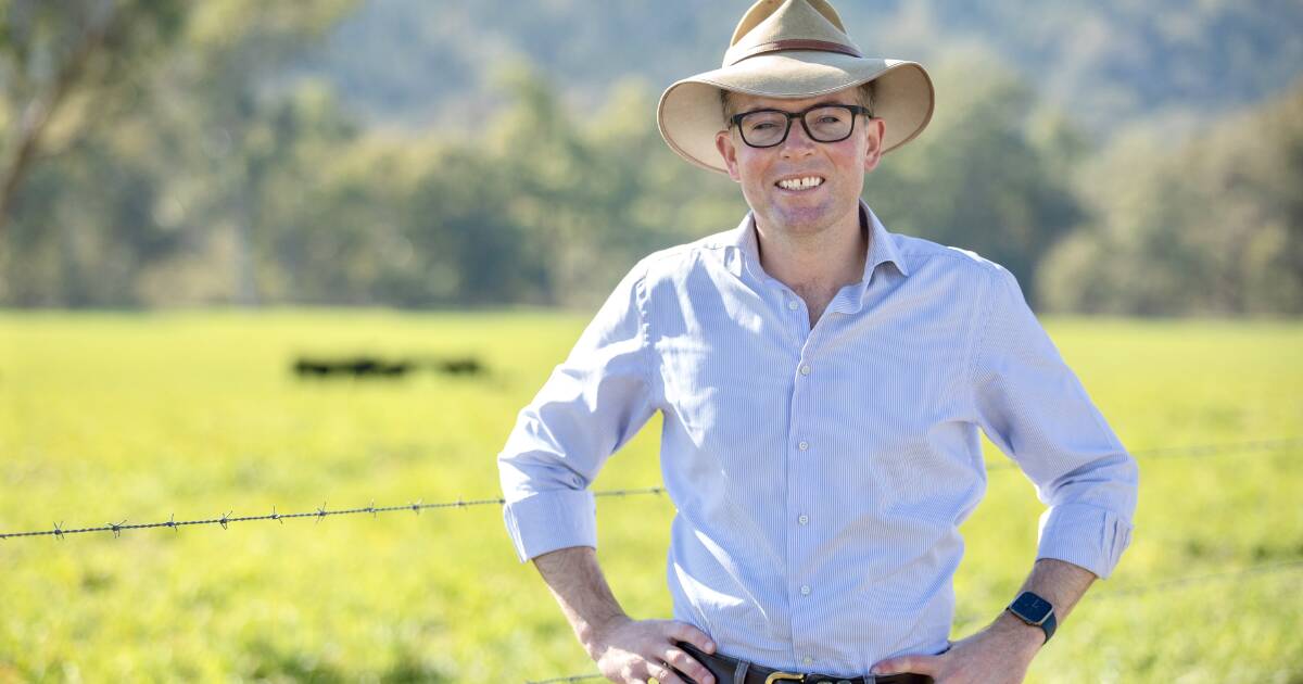 Adam Marshall to resign: by-election for Northern Tablelands | The Land